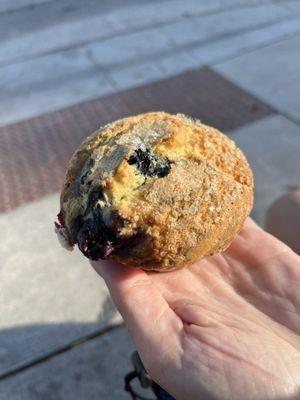 Blueberry muffin