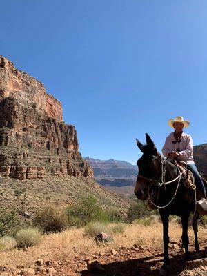 Mule Rides at the Grand Canyon