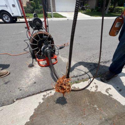 Root Intrusion Job: Giant root ball! It took hours to get this guy out.