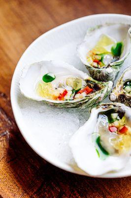 kimamoto oysters. apple fennel mignonette, miller-dohrmann apple cider gelee, chive oil.  a must.