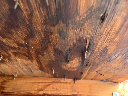 Old rotten wood on decking, view from attic