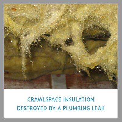 Crawlspace Insulation Destroyed