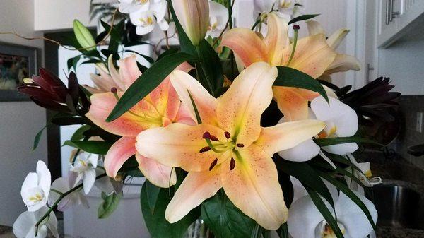 Absolutely gorgeous lilies in this display