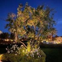 Landscape Lighting