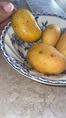 Mangoes