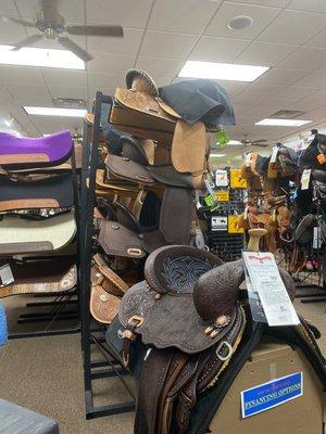 Shopping for saddles.