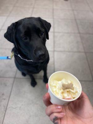 Ask for your complimentary pup cup after your visit!