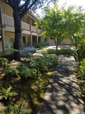 Nice courtyard leading to the office