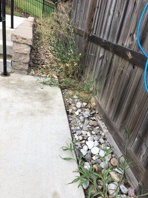 Weeds and unkept area around pool deck all summer.