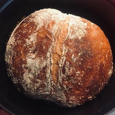 Fresh Bread Daily