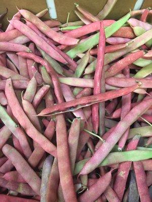 Fresh Red beans or frijoles frescos