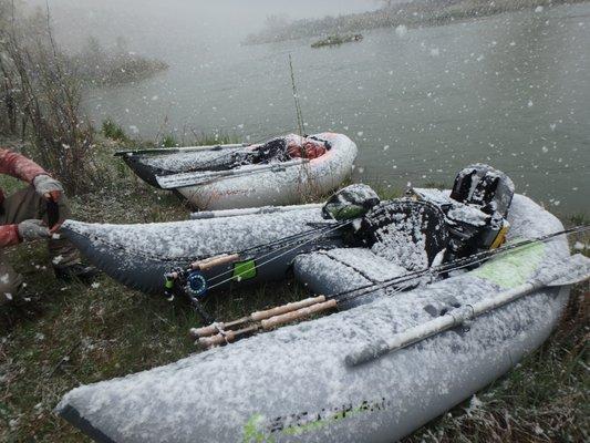 Stealth Pro winter run - new and old models