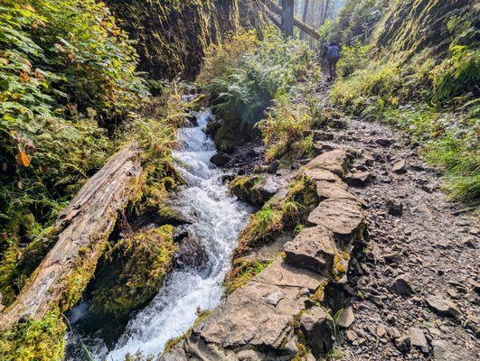 Wahkeena Falls trail at the Columbia River Gorge National Scenic Area in Corbett, Oregon. Multnomah County. Breathtaking and beautiful.