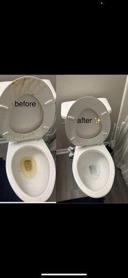 Toilet cleaning