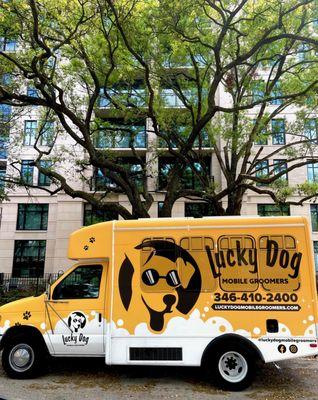 Lucky Dog Mobile Groomers