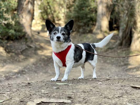 Claremont Canyon Regional Preserve