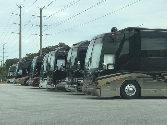 Millennium Luxury Coaches