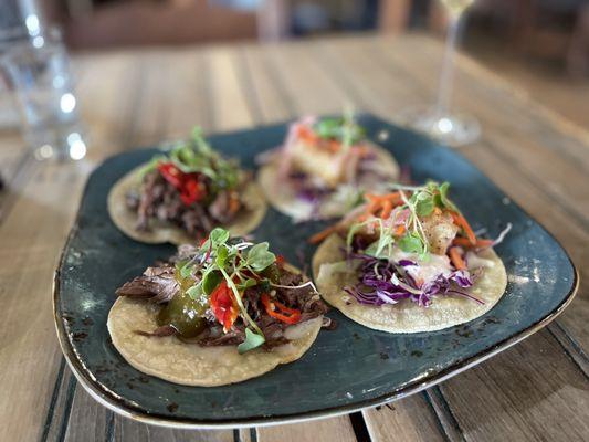 Surf and Turf with West Coast Fish taco and Short Rib taco