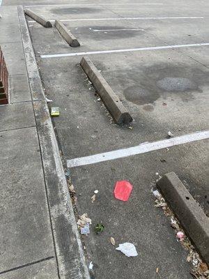 Just a dirty store. Outside is full of trash that you can tell has been there for some time.  Clean up your store.