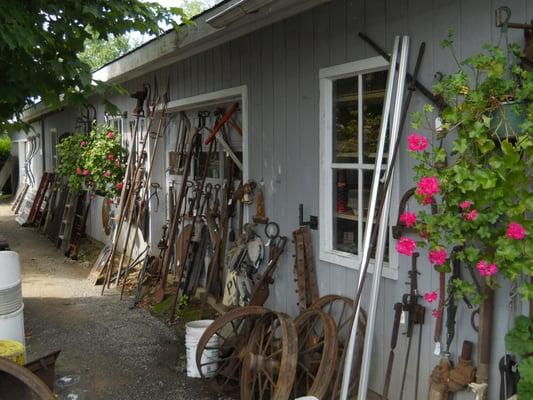 Springtime at Hoffman's Barn