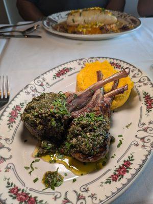 Lamb chops with chimichurri sauce over butternut squash mash