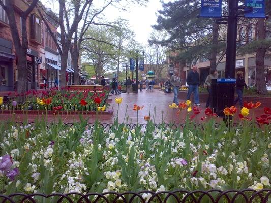 Boulder in Spring