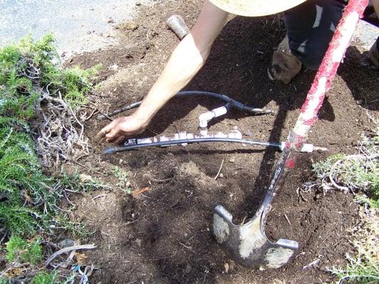 Irrigation Drip System Installation & Repair