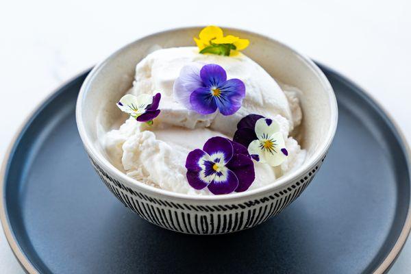 Homemade Coconut Ice Cream