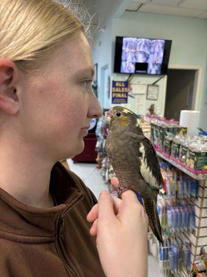 My daughter bonding with her baby bird. It's all on camera.