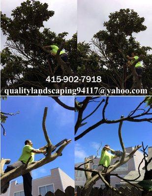 RJP Quality Landscaping