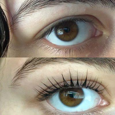 Lash Lift and Tint