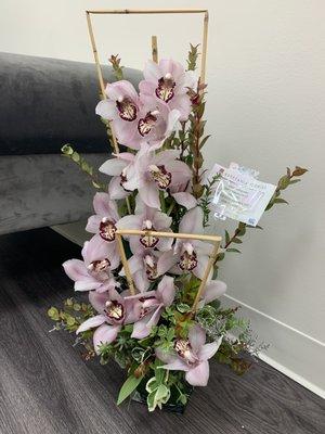 Opening celebration Orchids from clients.