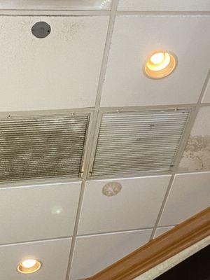 Ceilings with dust or dirt mold or water damage.