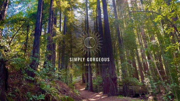 SIMPLY GORGEOUS DAY SPA, a hidden oasis​ ​nestled among the forested redwoods of  Montclair Village.​ ​Book a Seasonal Ritual Package today!