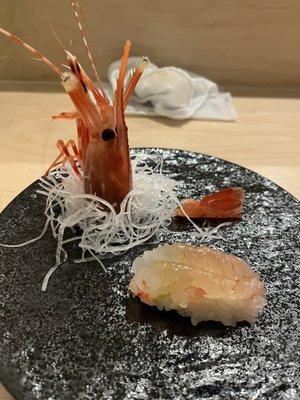 Part of nigiri omakase live Amebi was still alive and moving