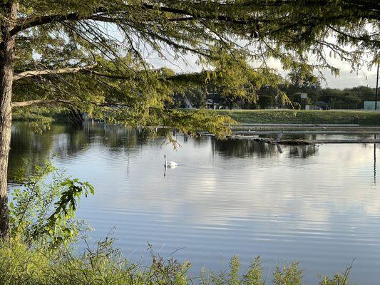 Elmendorf Lake