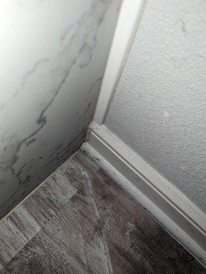 More spiders coming from cracks in walls