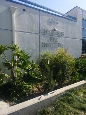 Children's Eye Institute