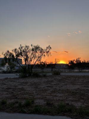 Mesquite Oasis RV Park