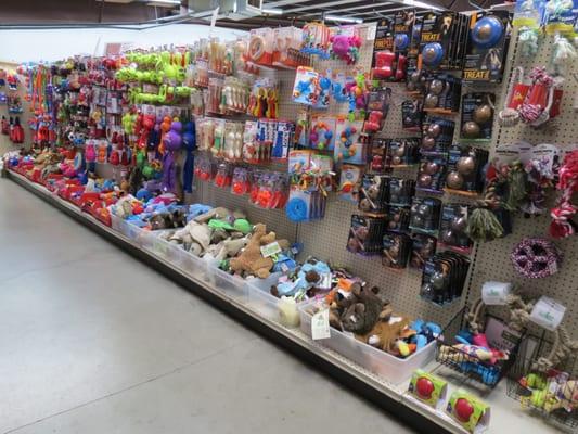 Dog Toy Central