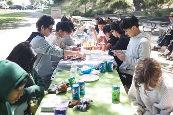 Class picnic