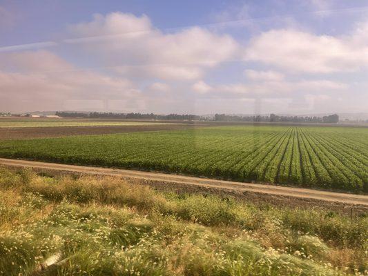 Agricultural in Oxnard and Camarillo