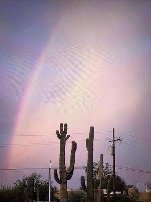 Rainbow after the rain!