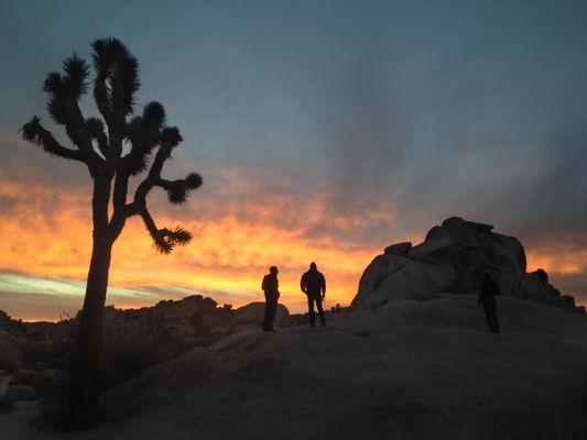 The True Adventure Tour-Amazing climbing in Joshua Tree after arriving on the motorcycles.