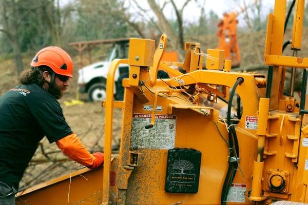 Princeton Tree Care