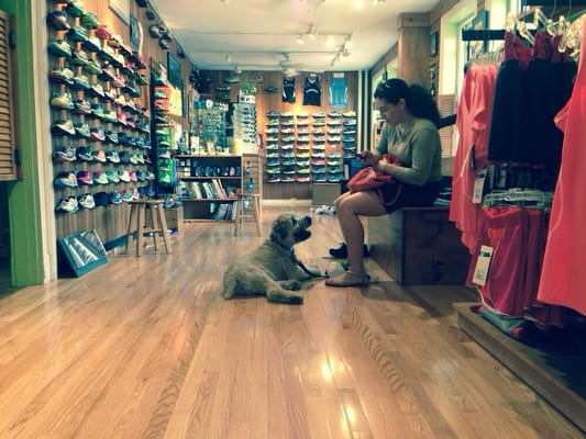 Kirby and Stella waiting as I get fitted for some running shoes!