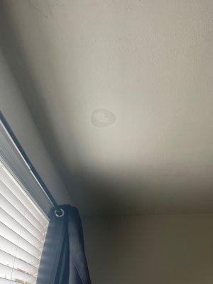 Another leak that randomly appeared on ceiling