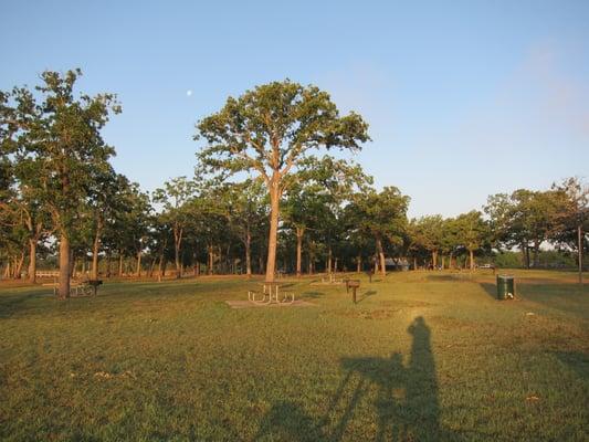 The picnic area near the lake shore