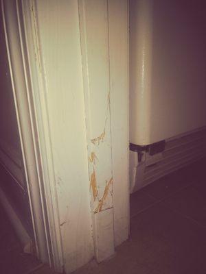 The damage to our door jamb that the RAC delivery person caused after we offered to remove the door to prevent this from happening.