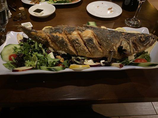 Branzino